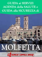 guida